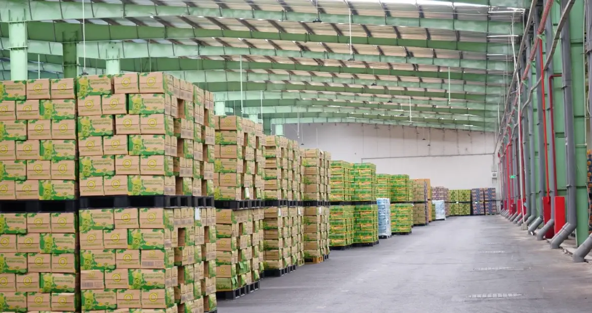 Kho hàng tiêu chuẩn xanh: Lợi thế cạnh tranh logistics