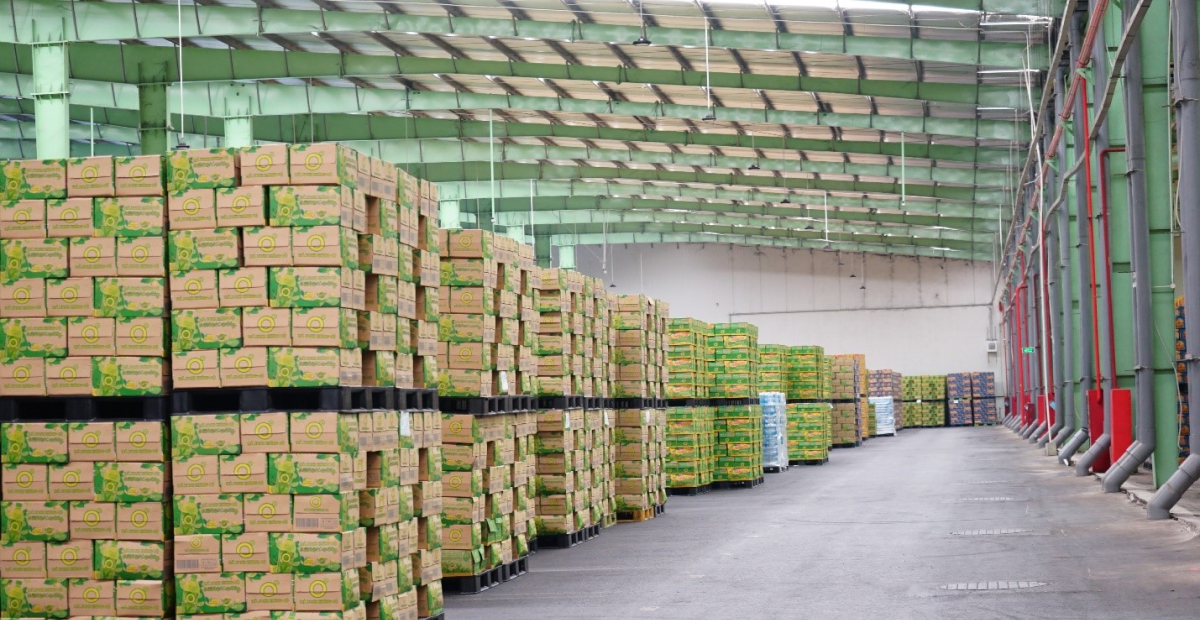 Kho hàng tiêu chuẩn xanh: Lợi thế cạnh tranh logistics
